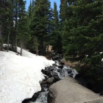Alpine Brook right below treeline